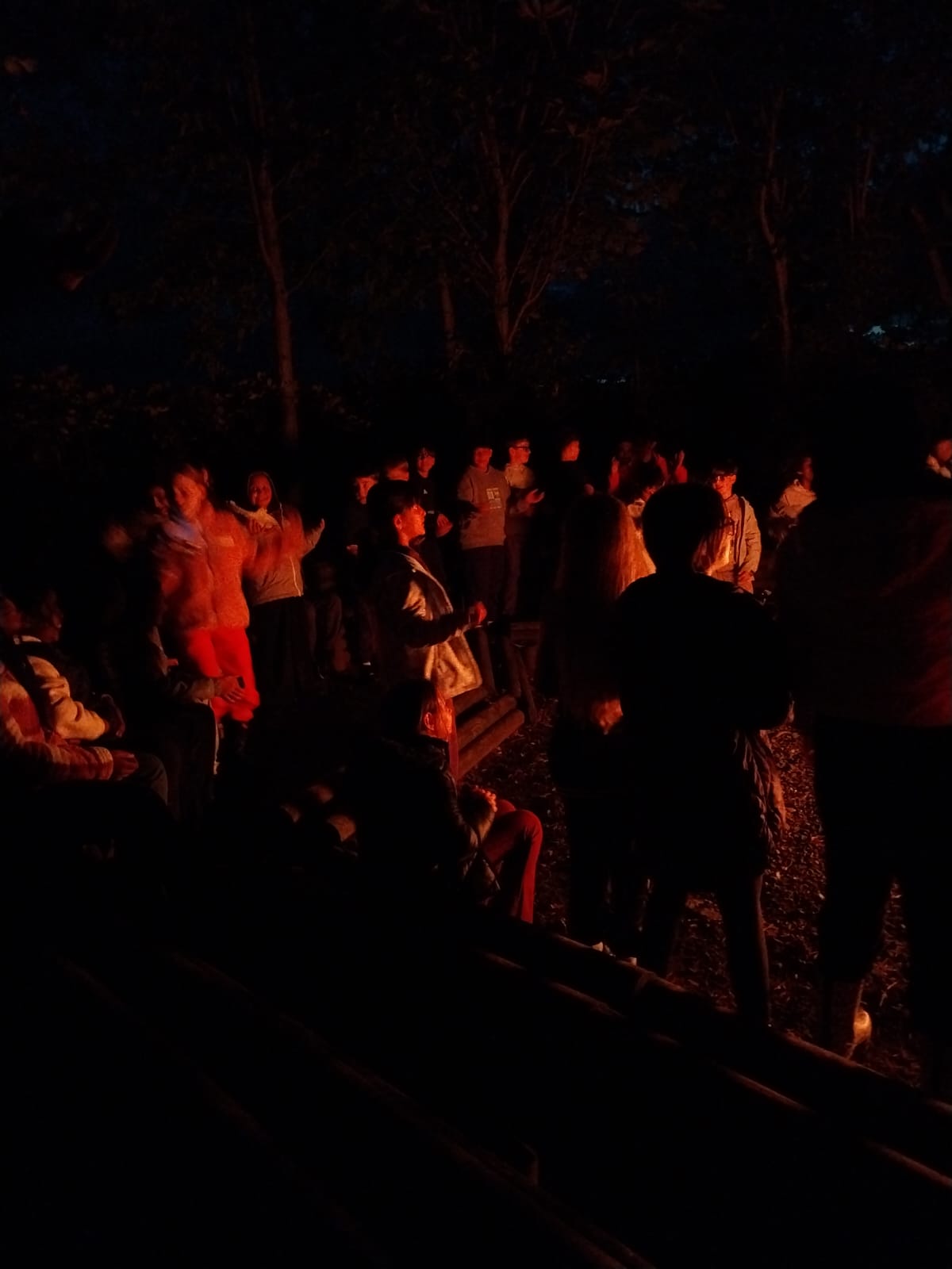 Group of children singing around a campfire