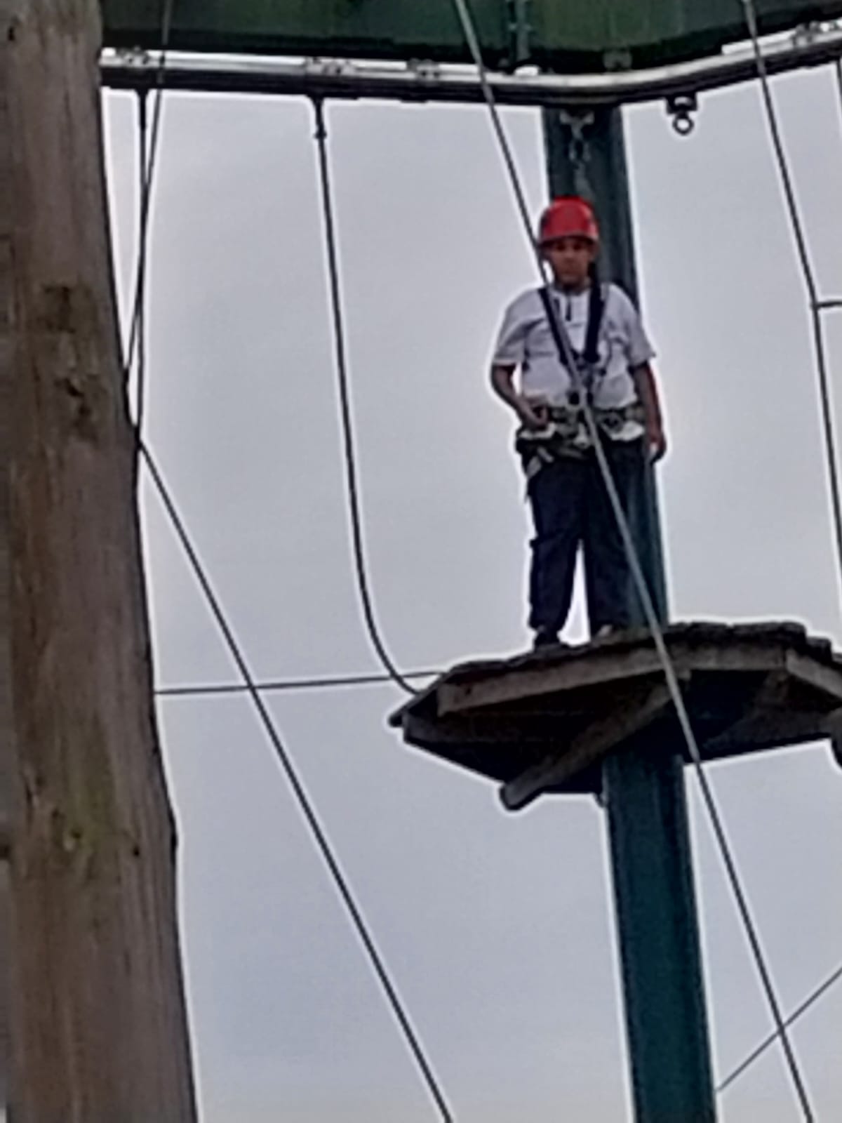 child on high wire course