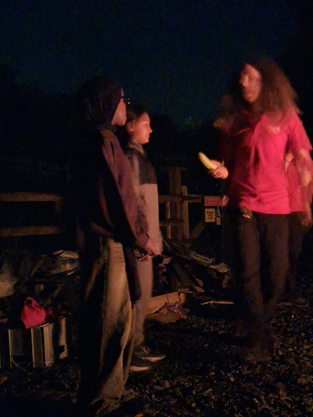 Year 5 & 6 children around a campfire